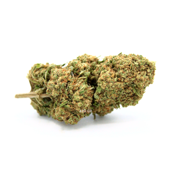 Copie de California Kush 6